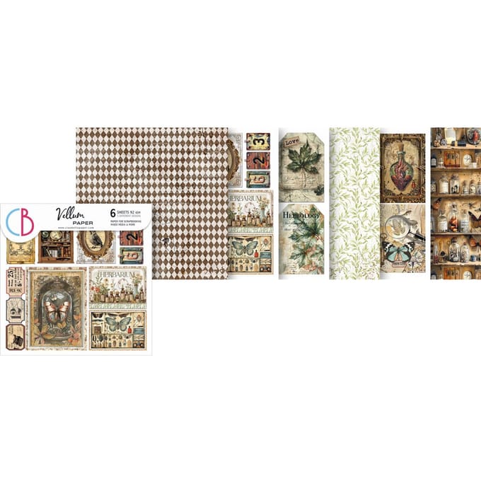 Vellum Paper "Cabinet of Curiosities"