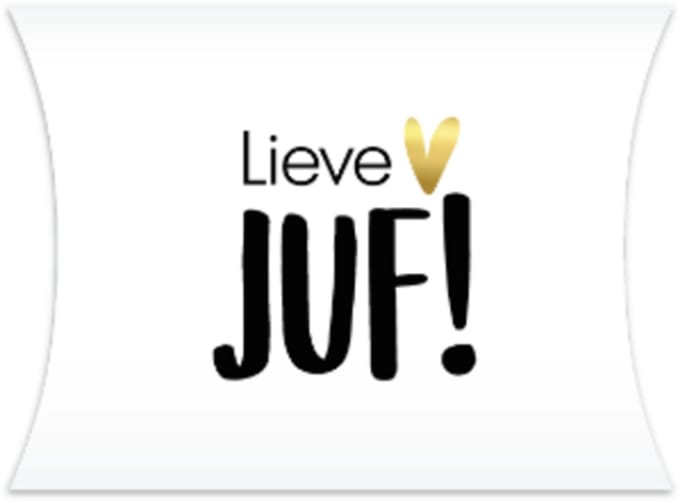Gondeldoosje Lieve JUF - Einde Schooljaar - Verjaardag - Bedankt - Juffendag