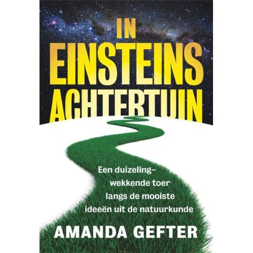 In Einsteins Achtertuin - Amanda Gefter