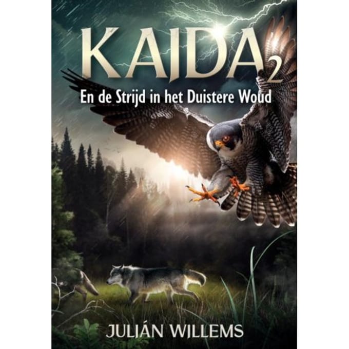 Kaida 2 - Julián Willems