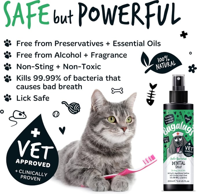 Bugalugs Cat Anti-Bacterial Dental Spray 200ml