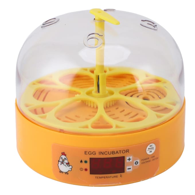 6 Œufs Incubateurs de Poulet Intelligents Contrôle Automatique de la Température Petite Machine Éclosoir à Affichage pour white