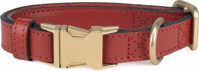 Luxe Halsband voor Honden - Echt Leer / Leder Reflecterend Verstelbaar 26 cm-40 Cm x 2 Cm-Rood