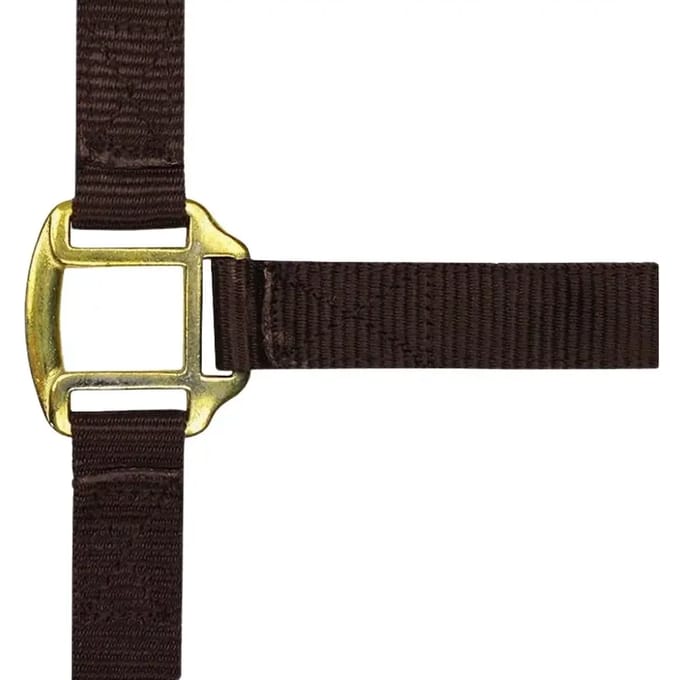 Halster voor paarden Norton Doublé cuir