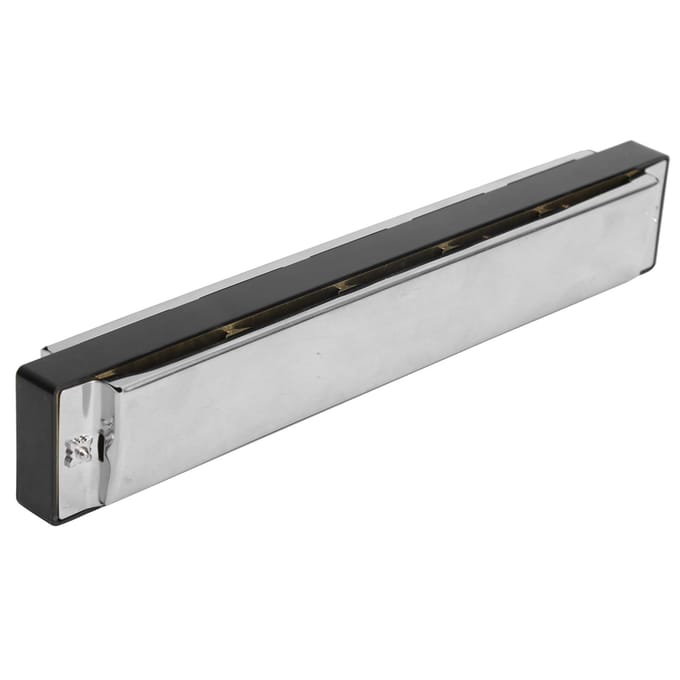 Mondharmonica met 24 gaten C-toon Octaafstemming Beginner Populair Muziekinstrument Benodigdheden black