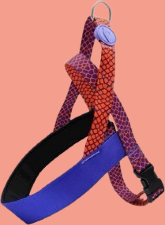 Morso - Norwegian Hondentuig Gerecycled Urban Lizard Rood