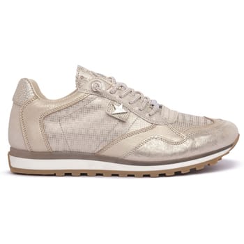 Sneakers Cetti PARIGI CHAMPAGNE