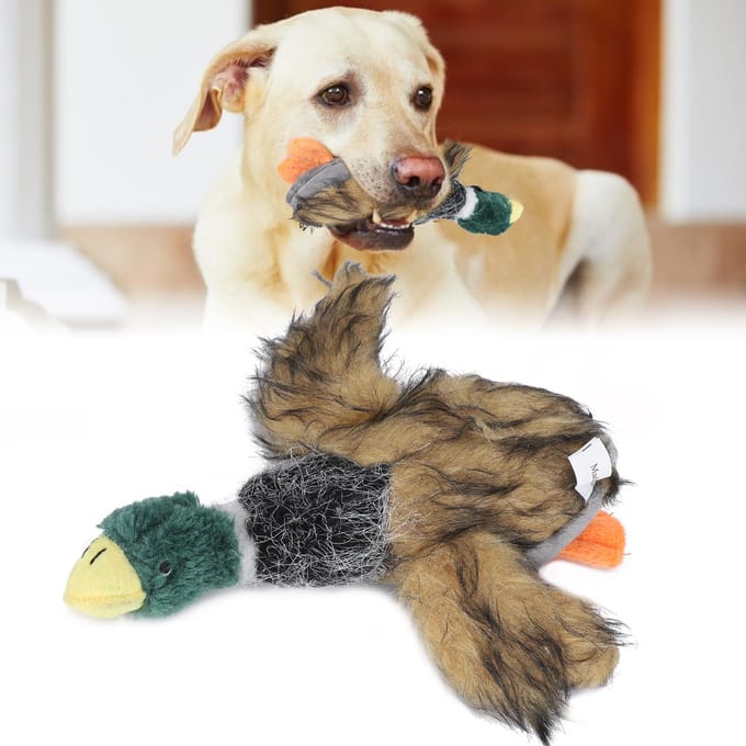 Pluche Speelgoed Wilde Eend Maakt Geluid Interactieve Pop voor Hond Kat Verlicht Eenzaamheid 20 x 20 x 4cm beige