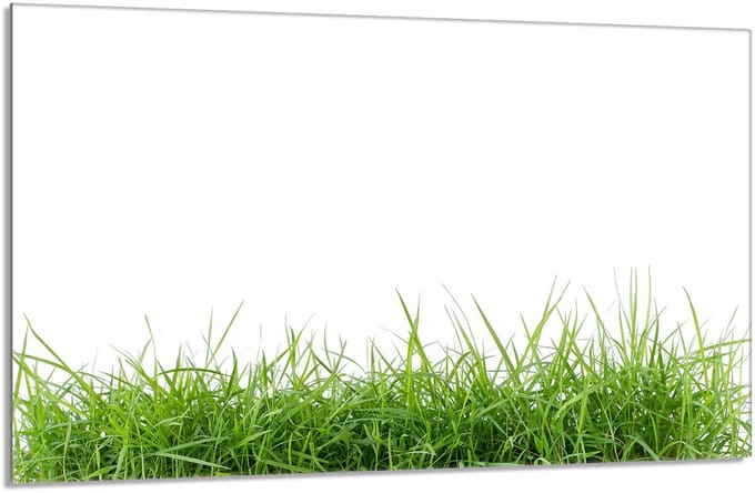 TMK ArtDeko - Glazen Beschermplaat - 80x52 cm - Geharde Glas - Wit