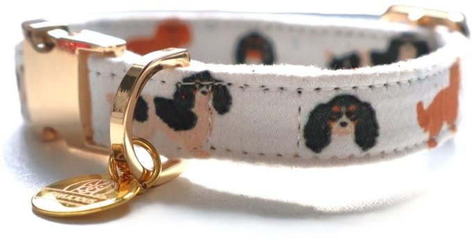 Cavlicious® hondenhalsband - kliksluiting - vilt - cavalier king charles - S