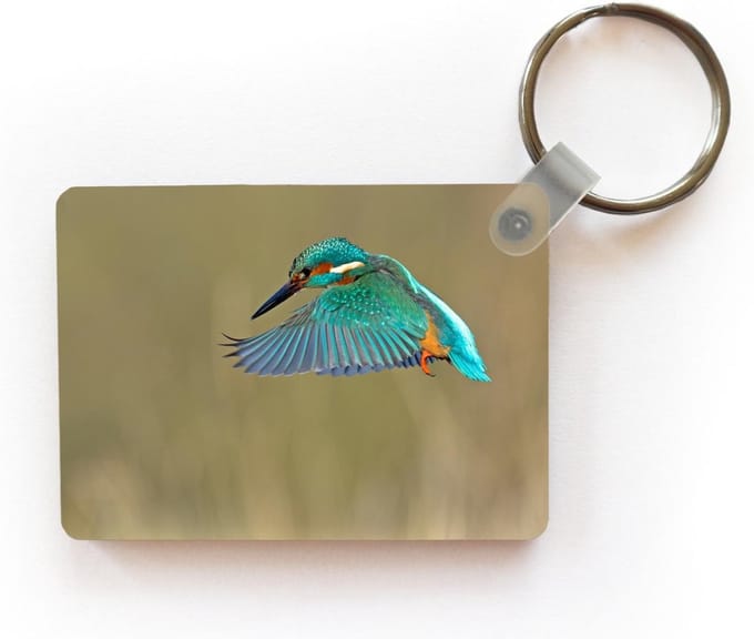 Sleutelhanger - IJsvogel - Lucht - Kleurrijk - Uitdeelcadeautjes - Plastic