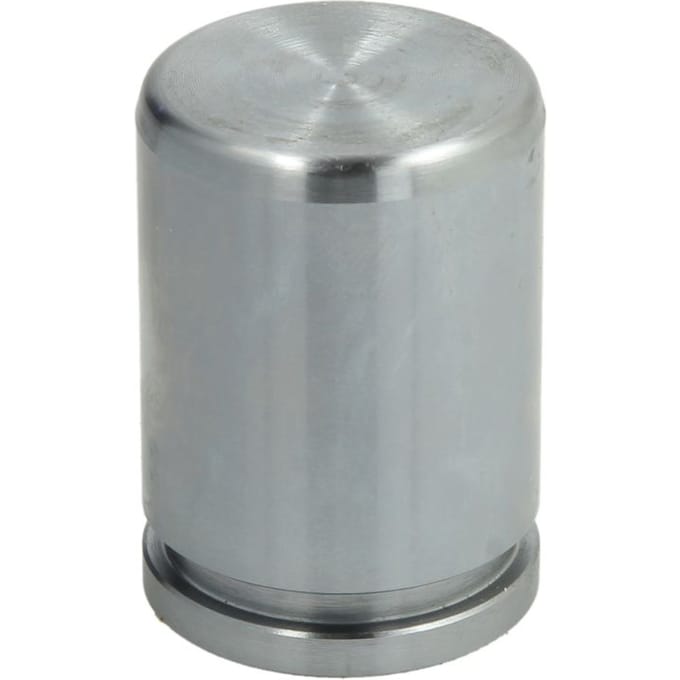 Zuiger, remklauw AUTOFREN SEINSA D025550, achter