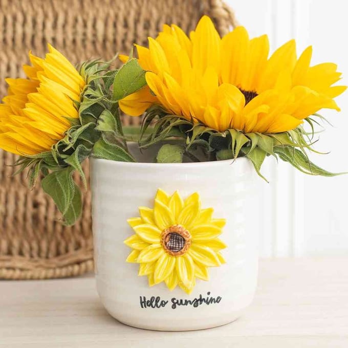 Something Different - Hello Sunshine with 3D Sunflower Plantenpot - Multicolours
