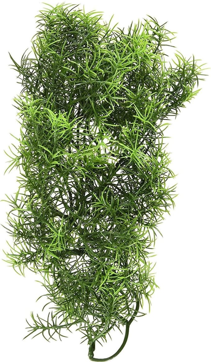 ZooMed - Naturalistic Flora - Cashuarina - decoratie - Medium