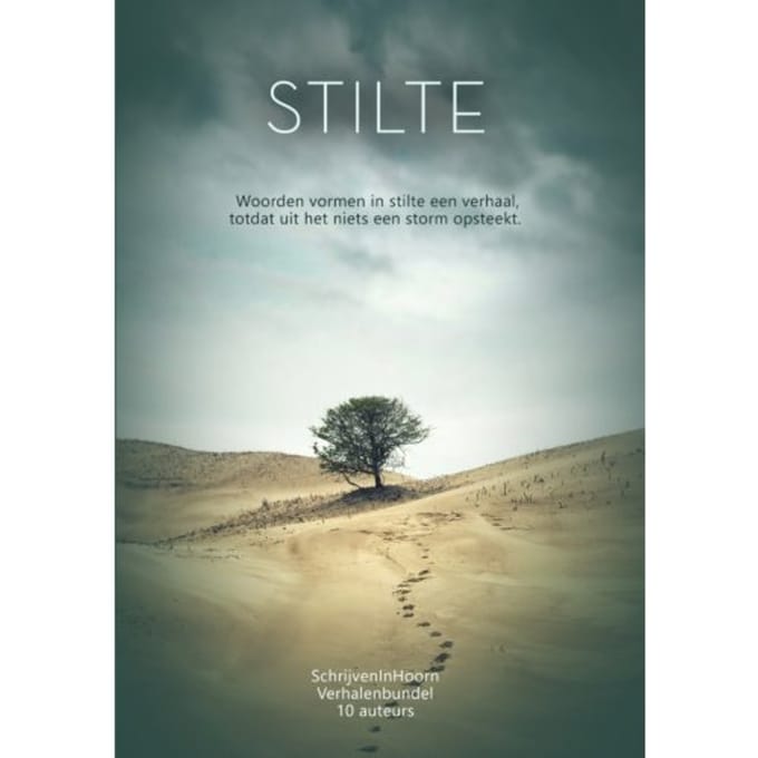 Stilte Versus Storm - Schrijveninhoorn - Lieve van den Berg