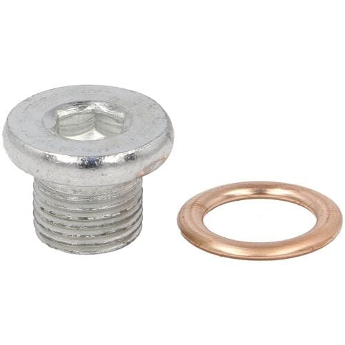 Schroef plug oliepan ELRING 877.900