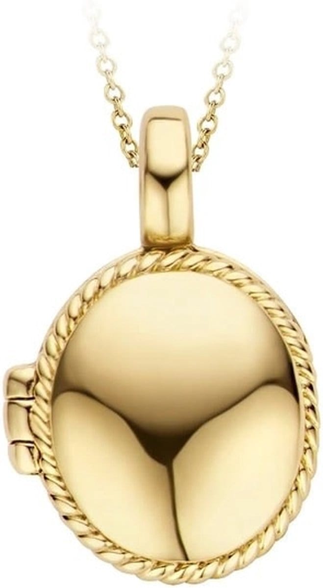 Blush Medallion Hanger 6087YGO 14k Geelgoud Ovaal