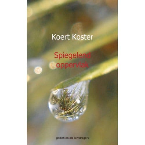 Spiegelend Oppervlak - Koert Koster