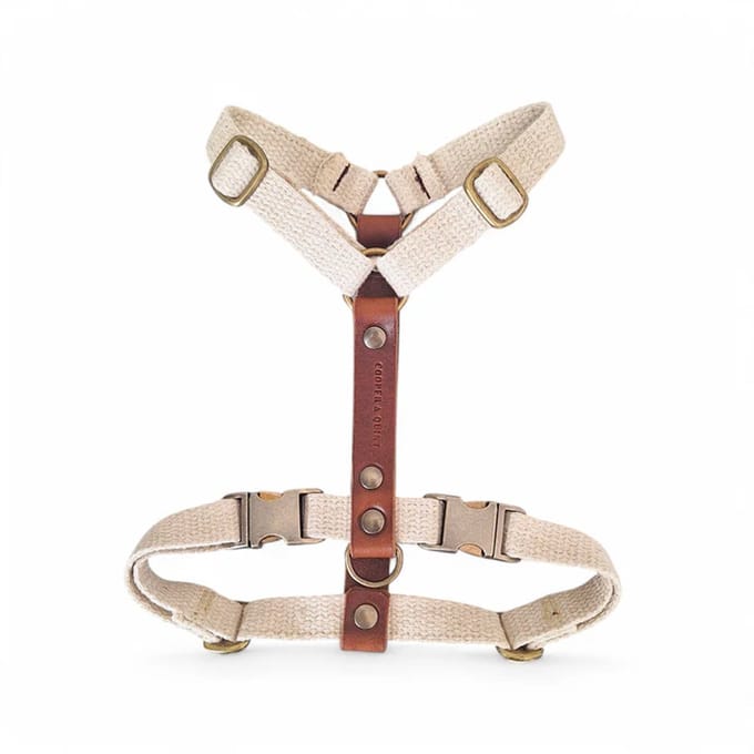 Cooper & Quint Adventure Hondentuig - Zwart - Extra Small - Oud Messing