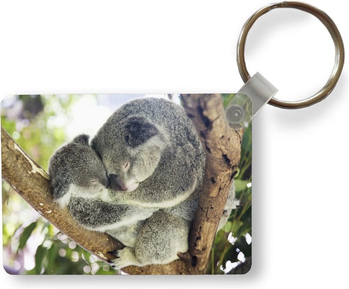 Sleutelhanger - Koala's - Knuffel - Dieren - Kinderen - Jongens - Meisjes - Uitdeelcadeautjes - Plastic