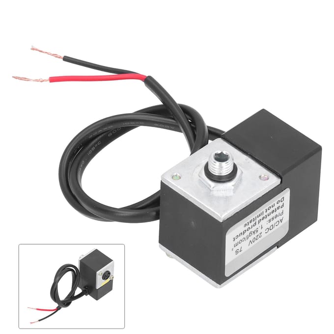 Vertraagde Solenoïde Klep Elektrisch Messing Luchtcompressor Pomp Accessoires ACDC 220V
