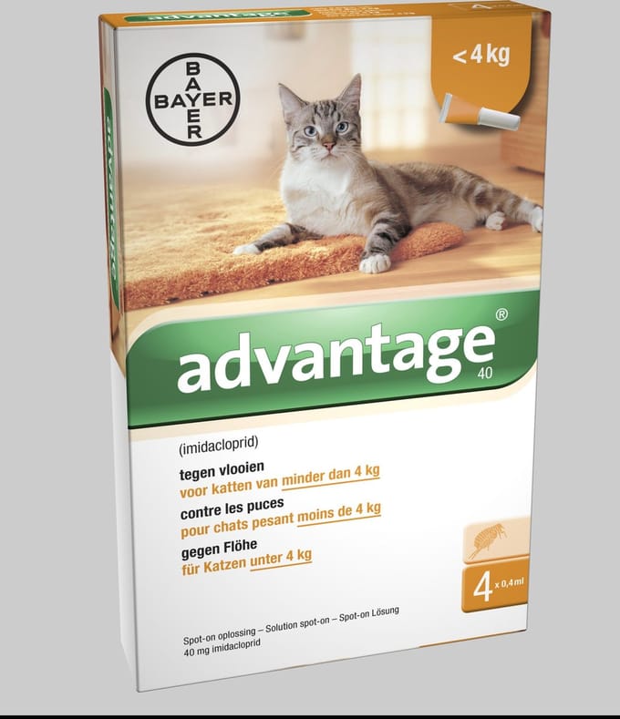 Advantage 40 Vlooiendruppels Kat tot 4 kg - 4 Pipetten