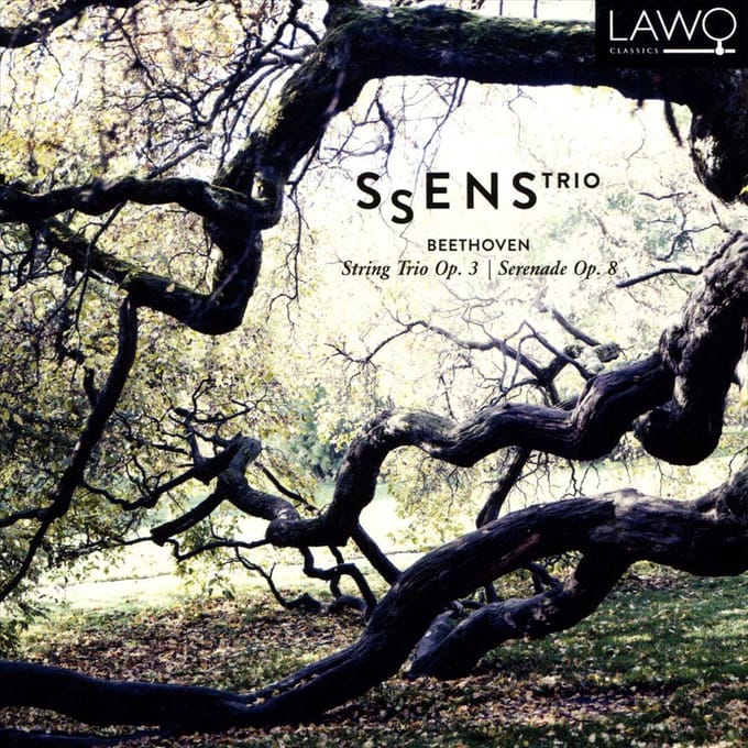 String Trio Op.3/Serenade Op.8 - David Zinman
