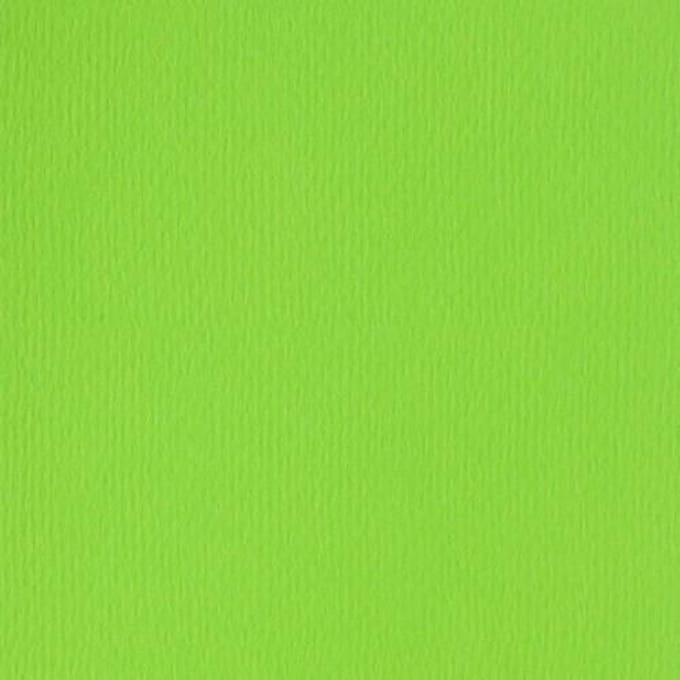 Papicolor Original Papier A4 200 gsm 6 Sheets Lentegroen