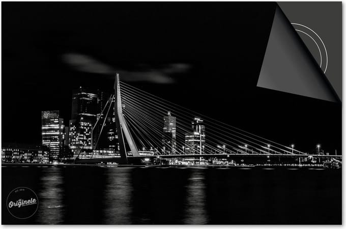 Inductie Beschermer Rotterdam Erasmus print Exclusief 78x52 cm