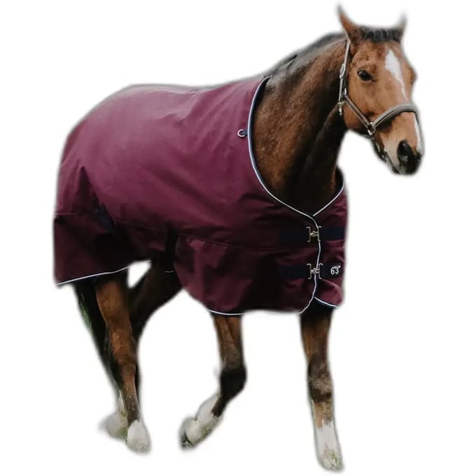Outdoor paardendeken Equithème Tyrex 1200D 150g