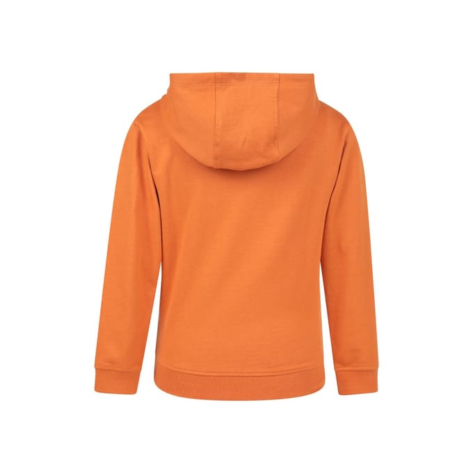 Mountain Warehouse Kinderen Verkenning Graphic Hoodie (Oranje)