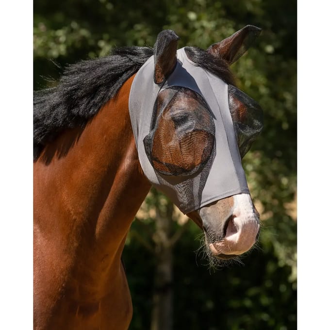 Paardenvliegen hoed QHP Super Bug