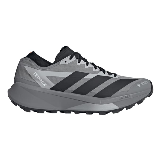 Trailschoenen adidas Terrex Agravic Gore-Tex 2