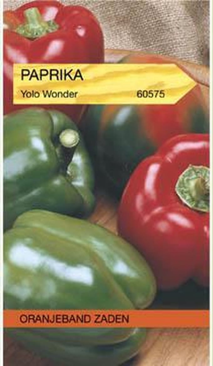 Paprika Yolo Wonder