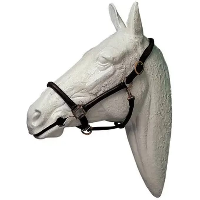 Rijhalster Hispano Hipica
