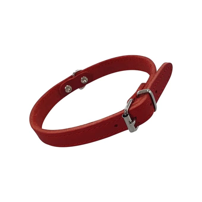 Hondenhalsband Nobby Pet Tabil
