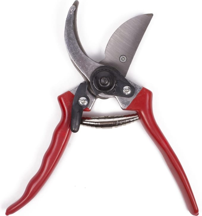Green Arrow Snoeischaar 21 cm - Rood - Bloemen - Rozen - Takken