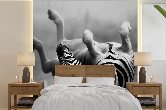 Behang - Fotobehang Zebra - Dieren - Zwart - Wit - Breedte 280 cm x hoogte 280 cm