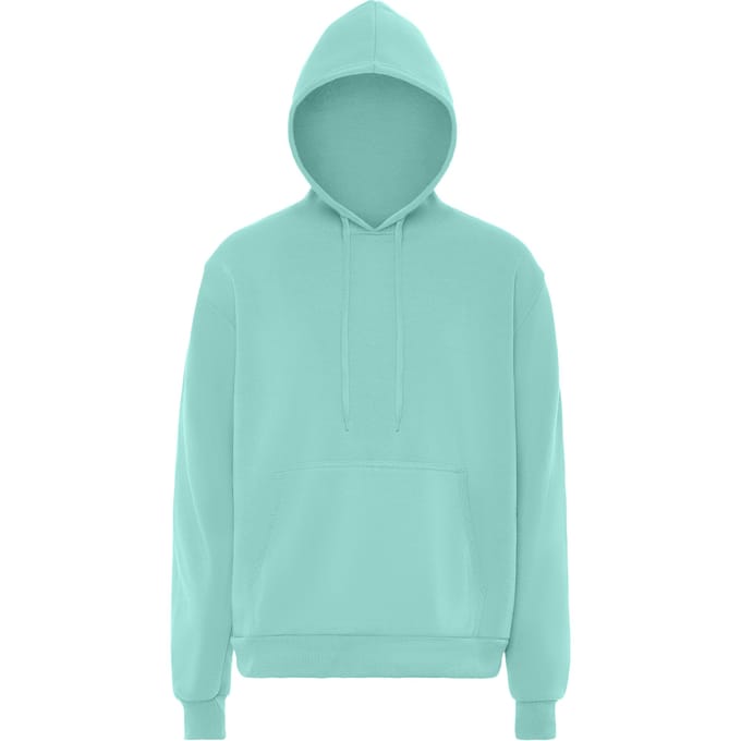 Mo Hoodie Heren IJs munt