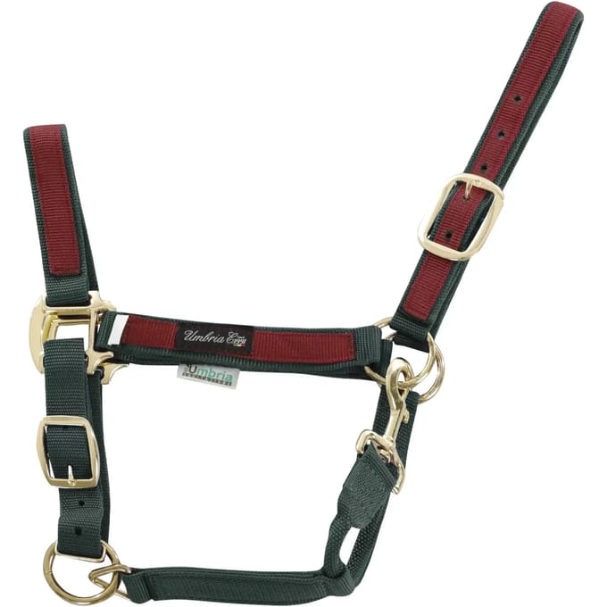 Kleurige nylon halster voor paard Umbria Equitazione