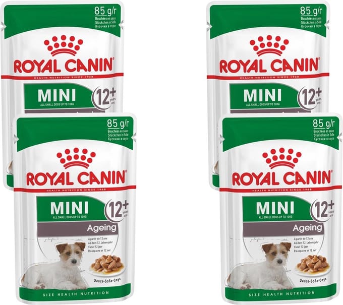 Royal Canin - Mini Ageing 12+ Hondenvoer Nat - 48 x 85 gr