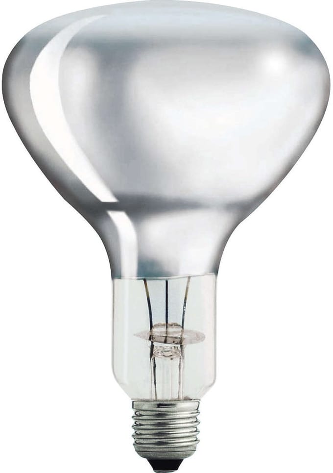 Philips Incandescent light bulb R125 infrarood verwarmingslampen 375w e27 230-250v cl 1ct/10 E27