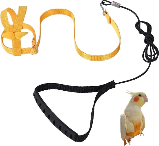 Lexium Vogel harnas - Vogel tuigje - Vogel riem - Vogelharnas - Tuigje voor vogels