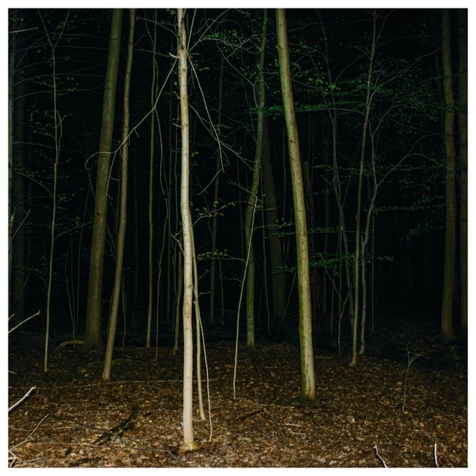 Express Rising - Fixed Rope (LP)