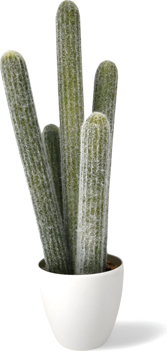 Nep Cactus Groot 54 cm