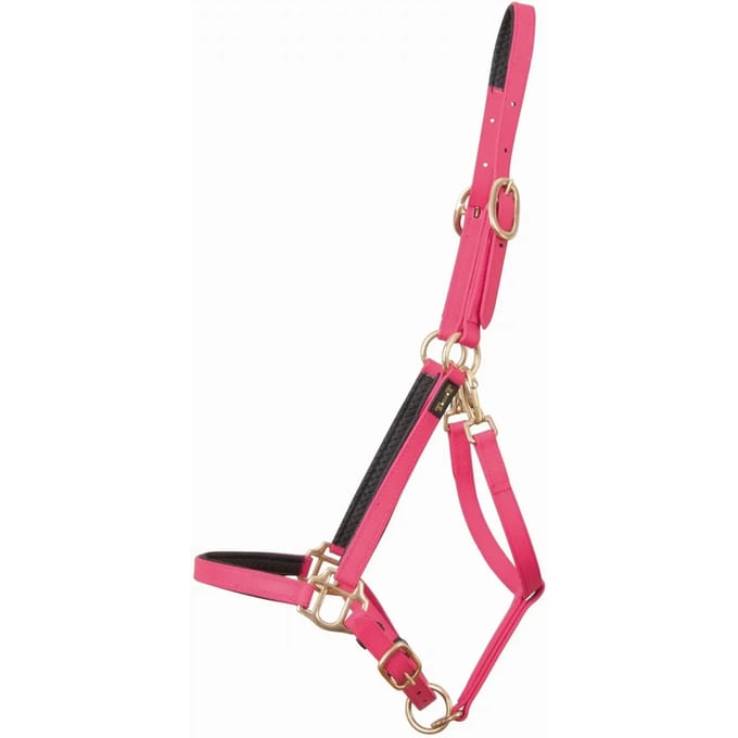 Halster voor paarden T de T Biotack®