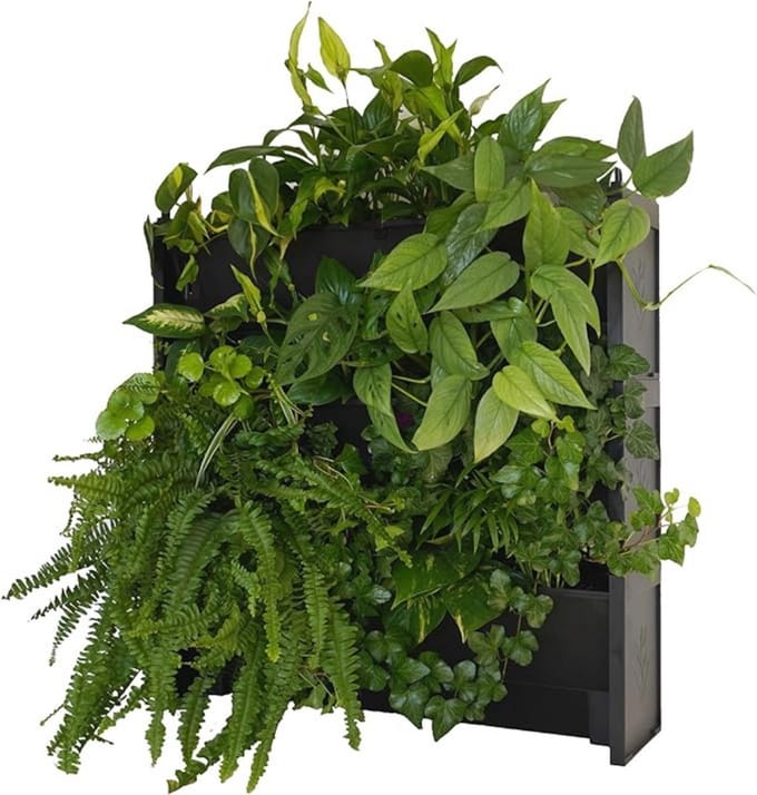 Thuys – Verticale Tuin Met Watersysteem – Moestuin – Watersysteem – 60cm x 15cm x 60cm – Zwart