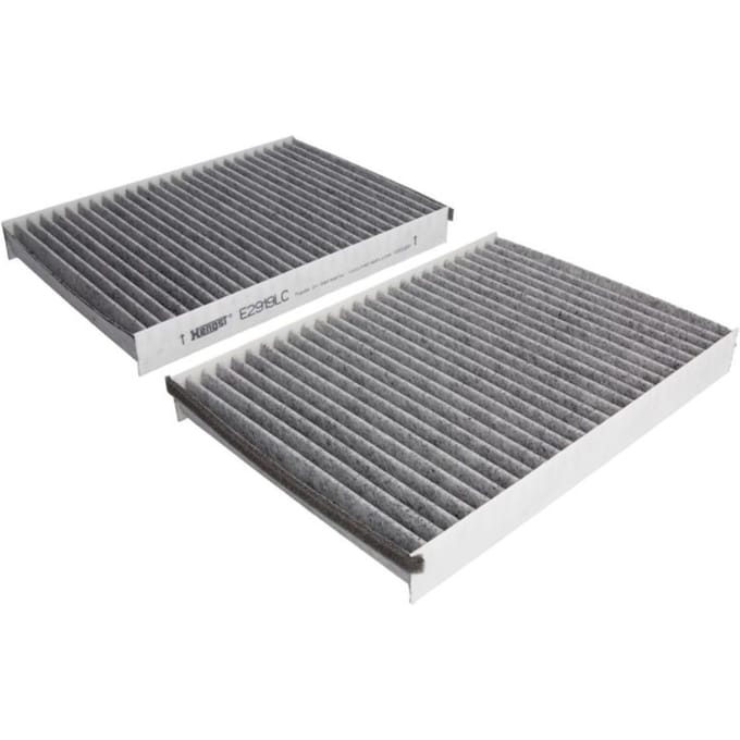 Cabinefilter HENGST Filtration E2919LC-2