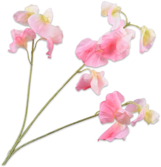 Silk-ka Kunstbloem-Zijden Bloem Lathyrus Tak Roze-Crème 66 cm