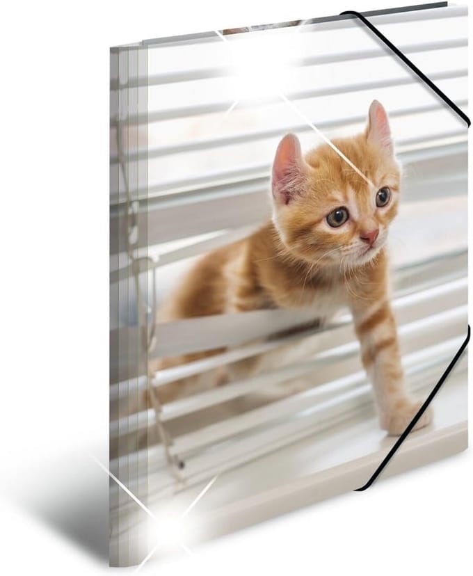 Set van 3 A3 Verzamelmappen met Kattenprint - Stevige Kunststof Opbergmappen
